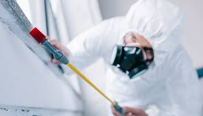 Best Pest Control for Warehouses  in River Ridge, LA